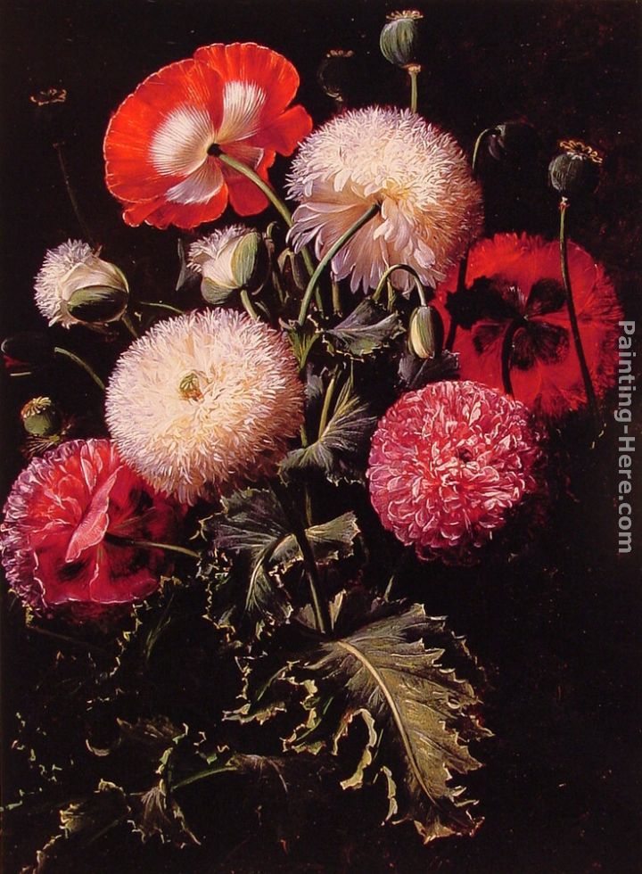 Still Life with Pink, Red and White Poppies painting - Johan Laurentz Jensen Still Life with Pink, Red and White Poppies art painting